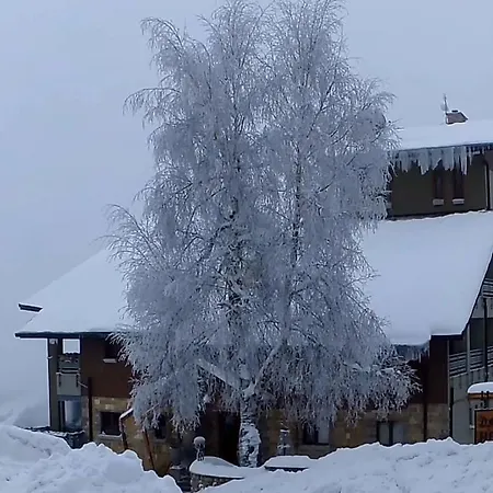 Hotel Dardha 4* Dardhe (Korce)